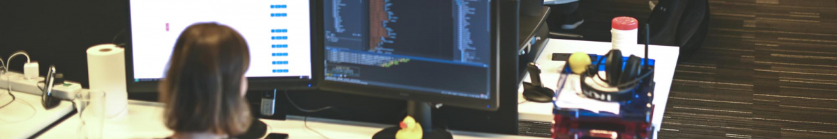 PHP ontwikkelaar met interesse voor Security