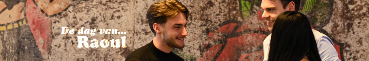 Raoul met commerciële collega's