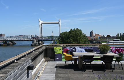 dakterras in Dordrecht